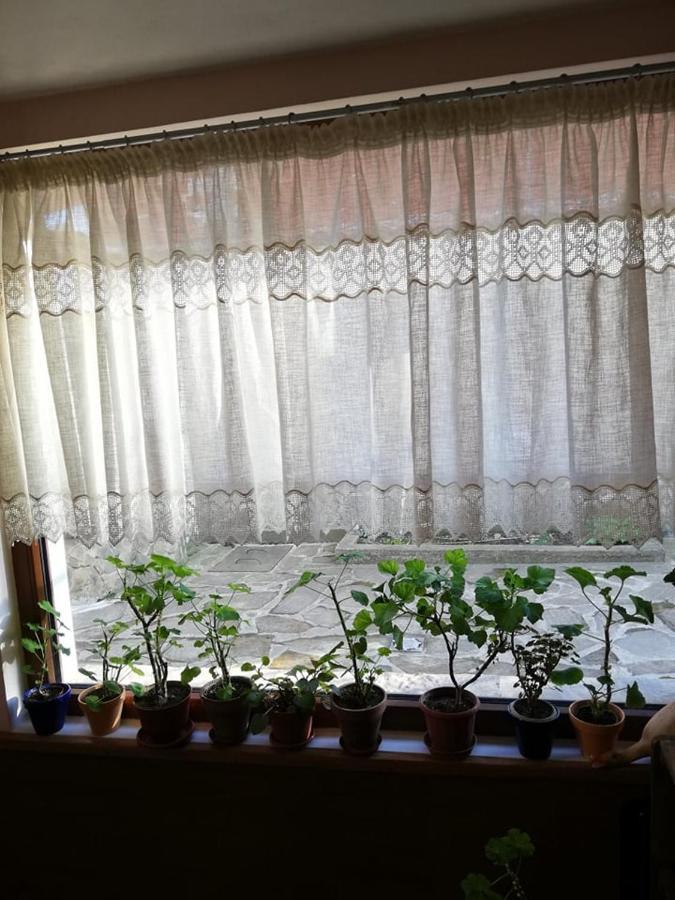 Guest House Vodolei Kotel Buitenkant foto